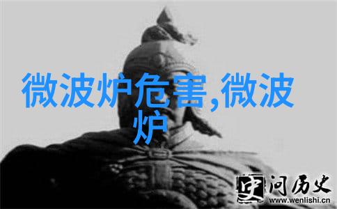 向智向绿向高端科技创新赋能家电换新